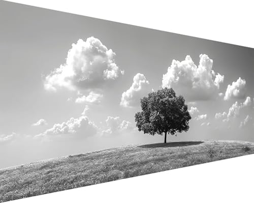 Malen Nach Zahlen Landschaft Malen Nach Zahlen Erwachsene Wolke Paint by Numbers Kits mit 3 - Pinseln und Acrylfarben Handgemalt Ölgemälde Farbige Leinwand Set, Geschenke für Frauen 80x160cm m3-40 von BAIYAACO