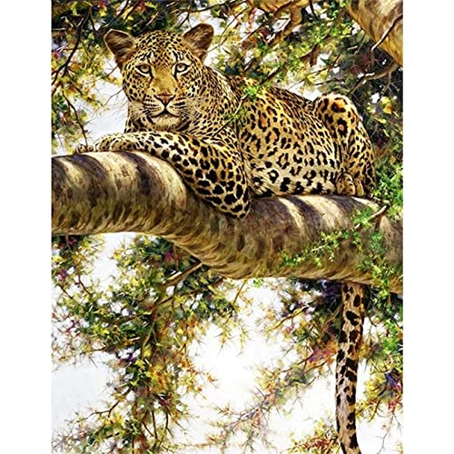 5D Diamant Painting Bilder Groß, Leopard auf Baum 30x40cm DIY Diamond Painting Set Strass Stickerei Diamant Malerei Kunsthandwerk Voller Diamant Kreuzstich Mosaik Gemälde Wall Dekor von BAMZOK