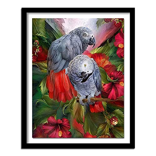 Diamond Painting Set Full Vogel Blumen Papagei DIY Diamant Malerei Bilder,5D Diamant Gemälde Strass Stickerei Kreuzstich Set,Diamant malerei Kits Malen Nach Zahlen für Home Wall Decor 30x40cm Diamond Painting Set Full Vogel Blumen Papagei DIY Diamant Malerei Bilder,5D Diamant Gemälde Strass Stickerei Kreuzstich Set,Diamant malerei Kits Malen Nach Zahlen für Home Wall Decor 30x40cm von BAMZOK