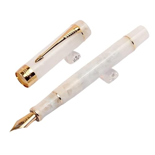 BANDKIT Füllfederhalter aus Kunstharz, Iridum EF/F/M/gebogene Feder mit Konverter, goldfarben/silberfarbener Clip, für Büro, Büro, Schreiben, 24 Stück von BANDKIT