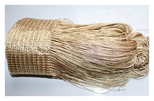 Perlenvorhänge,Thread Curtain 12 Farbe Perlen Linie Vorhang Moderne Garn gefärbte Vorhänge for Wohnzimmertür Hotel Café Innendekoration Feste(Champagne) von BANGHA