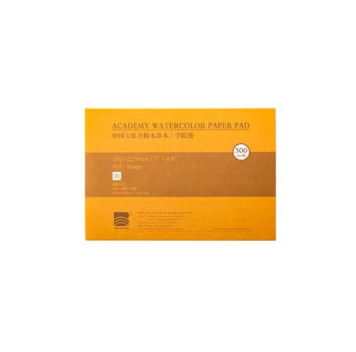 BAOHONG Aquarellblock in Akademiequalität, 100% Baumwolle, säurefrei, 63,5 kg/300 g/m², grobe Körnung, 20 Blatt pro Block (grobe Körnung 12,4 x 17,8 cm), Rough Grain 4.9x7'' von BAOHONG