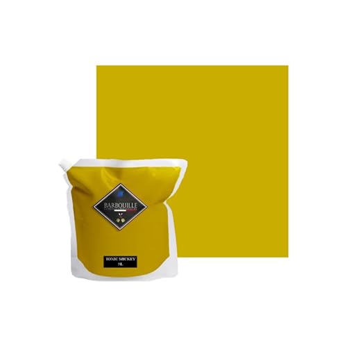 BARBOUILLE - Toxic Mickey Acrylfarbe, Satin-Optik, für Wand, Decke, Holz & Balkon, waschbar, trocknet in 30 Minuten, VOC A+, hergestellt in Frankreich, 5 l von BARBOUILLE