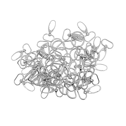 BATHVEVE 30Stücke Drehbare Auslöser Lobster Clips mit D Ringen Silbernes Zubehör für Taschen Schlüsselanhänger und DIY Projekte BATHVEVE 30Stücke Drehbare Auslöser Lobster Clips mit D Ringen Silbernes Zubehör für Taschen Schlüsselanhänger und DIY Projekte von BATHVEVE