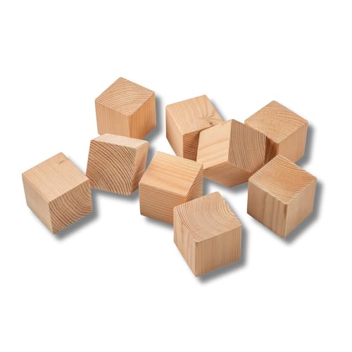 BAVASTYLE Cube - 9 XXL Douglasie Holzwürfel 10x10x10cm - Holzkötze zur Dekoration, individuell gestaltbare Holz Deko - Würfel zum Bauen & Basteln - PEFC zertifiziertes Echtholz von BAVASTYLE