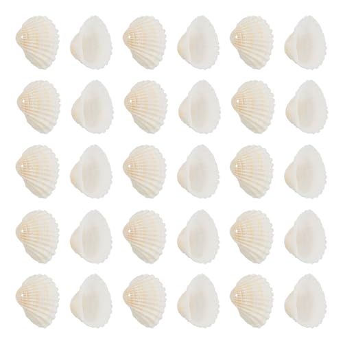 Beadthoven 117 Stück natürliche Muschelschalen-Anhänger Strand Ozean Muschel Perlen Charms für Vasenfüller Aquarium Schmuckherstellung Loch: 1,5–1,6 mm von BB Beadthoven