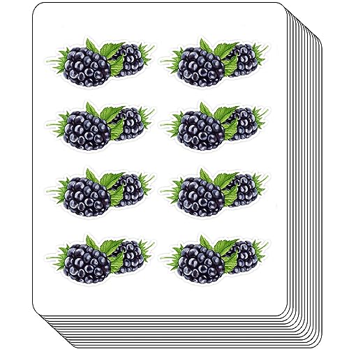 BlackBerry Berry Planer-Aufkleber, vielseitige Kalender, Bastelaufkleber für Scrapbook-Aufkleber, Bastelaufkleber, Kalendermagazin-Aufkleber, Ledger-Aufkleber und DIY-Aufkleber für Kinder (2,5 cm, 100 von BBRGIRL