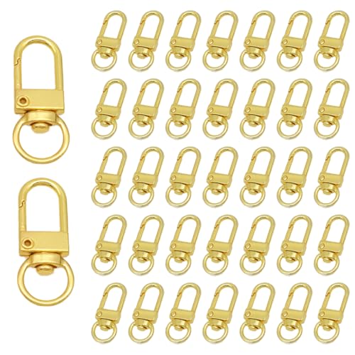 40 Stück Schlüsselkarabiner, Schlüsselringe Mini Karabiner Schlüsselanhänger Mini Karabinerhaken Schlüsselanhänger Mit Karabiner Karabinerhaken mit Drehgelenk für DIY Keychain Schlüsselring Stecker 40 Stück Schlüsselkarabiner, Schlüsselringe Mini Karabiner Schlüsselanhänger Mini Karabinerhaken Schlüsselanhänger Mit Karabiner Karabinerhaken mit Drehgelenk für DIY Keychain Schlüsselring Stecker von BDBFPAN