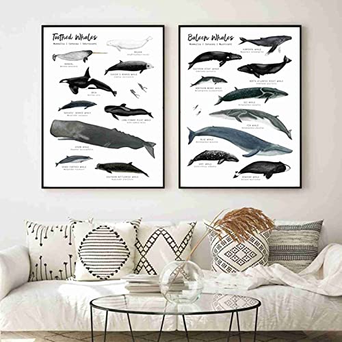 BDHcdfAJGf Walarten Wand Bilder Leinwand Gemälde Meereslebewesen Poster Kunstdrucke Bildung Kinderzimmer Wand Bilder Bilder Baby Kinderzimmer Dekor 30x50cmx2 ungerahmt BDHcdfAJGf Walarten Wand Bilder Leinwand Gemälde Meereslebewesen Poster Kunstdrucke Bildung Kinderzimmer Wand Bilder Bilder Baby Kinderzimmer Dekor 30x50cmx2 ungerahmt von BDHcdfAJGf