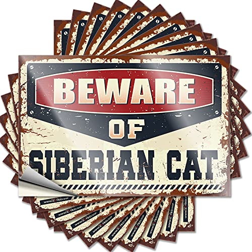 Lustige Aufkleber für Erwachsene, Aufschrift "Beware of Sibirian Cat", lustiger Aufkleber, 10 Stück, Schild-Dekor-Aufkleber (12 x 18 cm) von BDIX