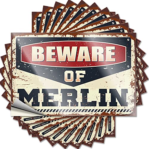 Werkzeugkasten-Aufkleber "Beware of Merlin", lustig, 10 Stück, Werkzeug-Aufkleber für Männerhöhle (12 x 18 cm) von BDIX