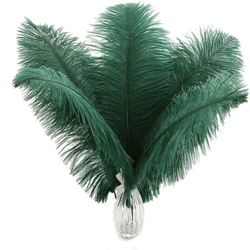 BDXMKS Straußenfeder 10–200 Stück dunkelgrüne Straußenfedern for Basteln, DIY-Federmäppchen, Handarbeiten, Schmuckherstellung, Hochzeitsdekoration, Zubehör, 15–55 cm(50-55cm 20-22inch,10PCS) von BDXMKS