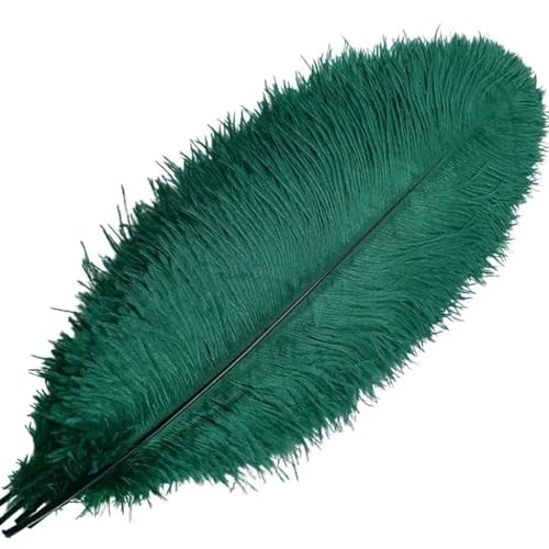 BDXMKS Straußenfeder 10–500 Stück dunkelgrüne Straußenfedern Plumas for Selbermachen, Basteln und Basteln von Schmuck, Alles for handgefertigte Dekorationsaccessoires(20-25CM Small Pole,500pcs) von BDXMKS