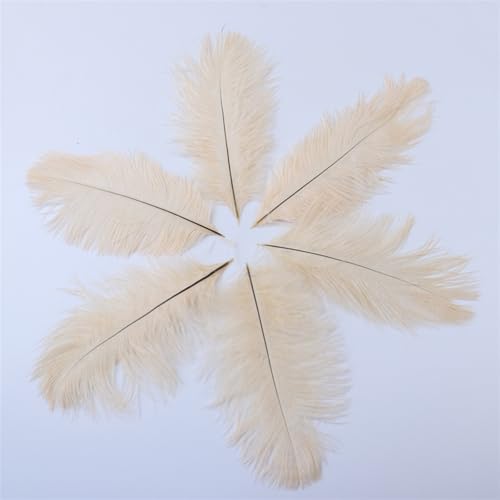 BDXMKS Straußenfeder 10 PCS Straußenfedern 15-20CM/6-8 Zoll Flauschige gefärbte Federn for Hochzeitszubehör Party Home Dekoration Handwerk(Champagne) von BDXMKS