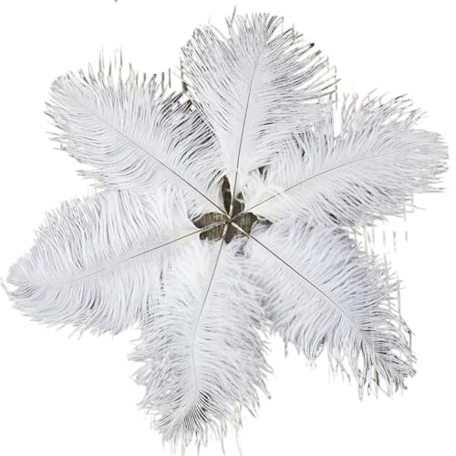 BDXMKS Straußenfeder 10 PCS Straußenfedern 15-20CM/6-8 Zoll Flauschige gefärbte Federn for Hochzeitszubehör Party Home Dekoration Handwerk(White) von BDXMKS