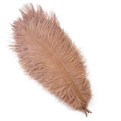 BDXMKS Straußenfeder 10 STÜCKE 15-60 cm Große Straußenfedern Straußenfedern Tischdekoration Party Hochzeit Zubehör Dekoration(Brown,55-60cm) von BDXMKS
