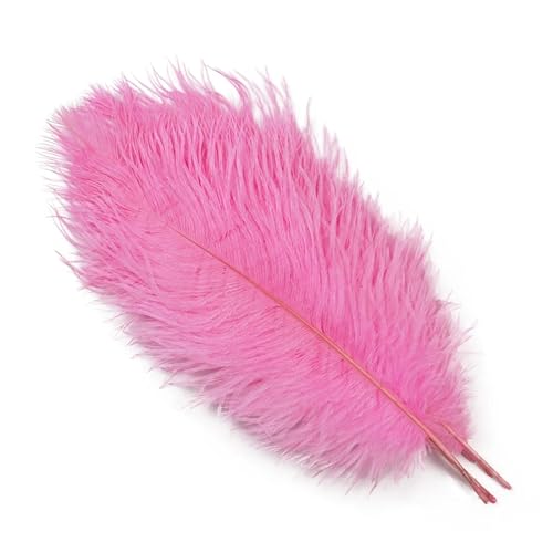 BDXMKS Straußenfeder 10 STÜCKE 15-60 cm Große Straußenfedern Straußenfedern Tischdekoration Party Hochzeit Zubehör Dekoration(Dark pink,30-35cm) von BDXMKS