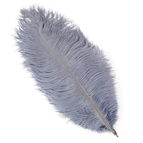 BDXMKS Straußenfeder 10 STÜCKE 15-60 cm Große Straußenfedern Straußenfedern Tischdekoration Party Hochzeit Zubehör Dekoration(Grey,25-30cm) von BDXMKS