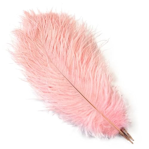 BDXMKS Straußenfeder 10 STÜCKE 15-60 cm Große Straußenfedern Straußenfedern Tischdekoration Party Hochzeit Zubehör Dekoration(Light pink,30-35cm) von BDXMKS