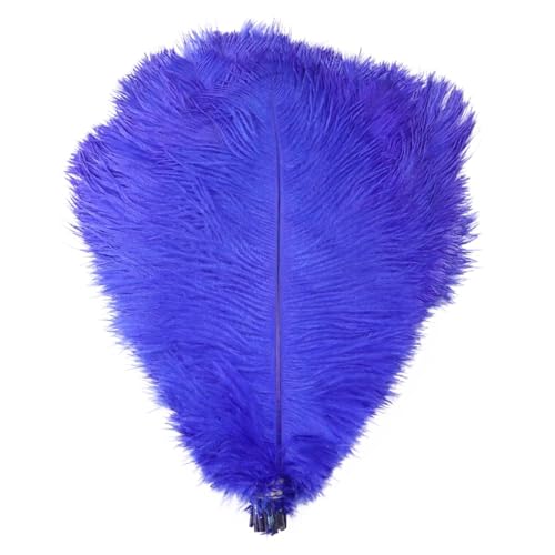BDXMKS Straußenfeder 10 STÜCKE Farbige Straußenfedern 15-60 cm for Handwerk Karneval Hochzeit DIY Tischdekoration Flauschige Straußenfedern Zubehör Groß(Blue,25-30cm) von BDXMKS