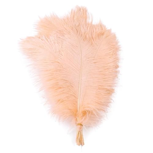 BDXMKS Straußenfeder 10 STÜCKE Farbige Straußenfedern 15-60 cm for Handwerk Karneval Hochzeit DIY Tischdekoration Flauschige Straußenfedern Zubehör Groß(Champagne,15-20cm) von BDXMKS