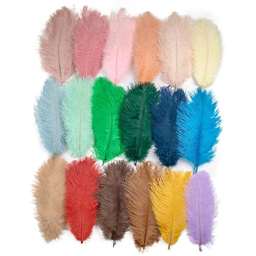 BDXMKS Straußenfeder 10 STÜCKE Farbige Straußenfedern 15-60 cm for Handwerk Karneval Hochzeit DIY Tischdekoration Flauschige Straußenfedern Zubehör Groß(Mixed Color,15-20cm) von BDXMKS