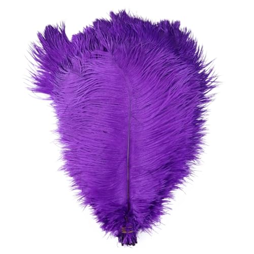 BDXMKS Straußenfeder 10 STÜCKE Farbige Straußenfedern 15-60 cm for Handwerk Karneval Hochzeit DIY Tischdekoration Flauschige Straußenfedern Zubehör Groß(Purple,15-20cm) von BDXMKS