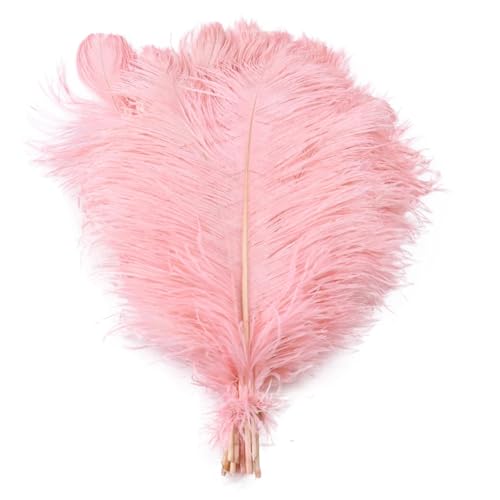 BDXMKS Straußenfeder 10 STÜCKE Farbige Straußenfedern 15-60 cm for Handwerk Karneval Hochzeit DIY Tischdekoration Flauschige Straußenfedern Zubehör Groß(Shrimp pink,35-40cm) von BDXMKS