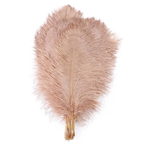 BDXMKS Straußenfeder 10 STÜCKE Farbige Straußenfedern 15-60 cm for Handwerk Karneval Hochzeit DIY Tischdekoration Flauschige Straußenfedern Zubehör Groß(Vermilion Pink,15-20cm) von BDXMKS
