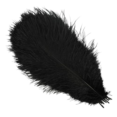 BDXMKS Straußenfeder 10 Stück Bunte Straußenfedern, Bastelzubehör, Traumfänger, Dekoration, Schmuckherstellung, natürliche Federn, Tischdekoration(Black,25-30cm 10-12inch) von BDXMKS
