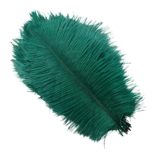 BDXMKS Straußenfeder 10 Stück Bunte Straußenfedern, Bastelzubehör, Traumfänger, Dekoration, Schmuckherstellung, natürliche Federn, Tischdekoration(Dark Green,25-30cm 10-12inch) von BDXMKS