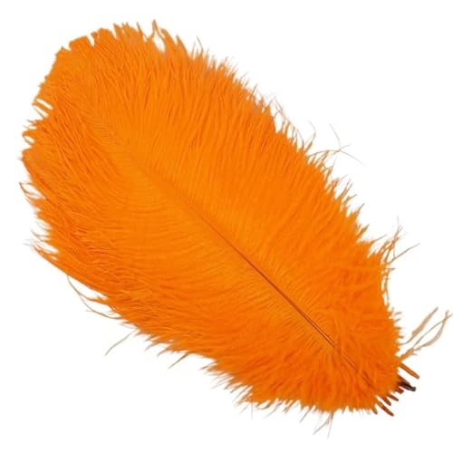 BDXMKS Straußenfeder 10 Stück Bunte Straußenfedern, Bastelzubehör, Traumfänger, Dekoration, Schmuckherstellung, natürliche Federn, Tischdekoration(Orange,30-35cm 12-14inch) von BDXMKS