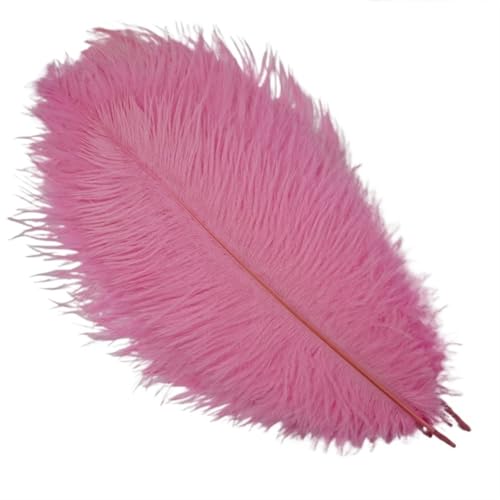 BDXMKS Straußenfeder 10 Stück Bunte Straußenfedern, Bastelzubehör, Traumfänger, Dekoration, Schmuckherstellung, natürliche Federn, Tischdekoration(Pink,35-40cm 14-16inch) von BDXMKS
