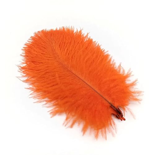 BDXMKS Straußenfeder 10 Stück Straußenfedern zur Schmuckherstellung, Federschmuck, DIY, Traumfänger, Dekoration, Vase, Handarbeit, Bastelbedarf, Hochzeitszubehör(Orange Feathers) von BDXMKS