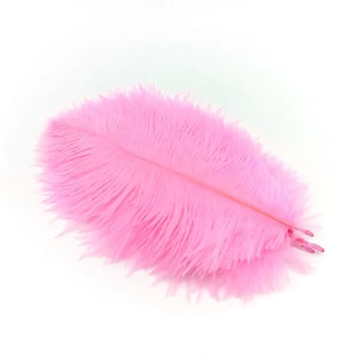 BDXMKS Straußenfeder 10 Stück Straußenfedern zur Schmuckherstellung, Federschmuck, DIY, Traumfänger, Dekoration, Vase, Handarbeit, Bastelbedarf, Hochzeitszubehör(Pink Feathers) von BDXMKS