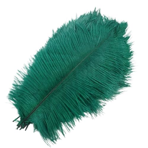 BDXMKS Straußenfeder 10 Stück farbige Straußenfedern for Basteln, Federdekoration, DIY, Urlaub, Karneval, Hochzeitsdekoration(Dark Green,15-20cm 6-8inch) von BDXMKS