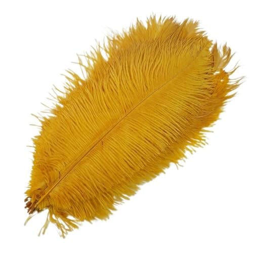 BDXMKS Straußenfeder 10 Stück farbige Straußenfedern for Basteln, Federdekoration, DIY, Urlaub, Karneval, Hochzeitsdekoration(Gold,25-30cm 10-12inch) von BDXMKS