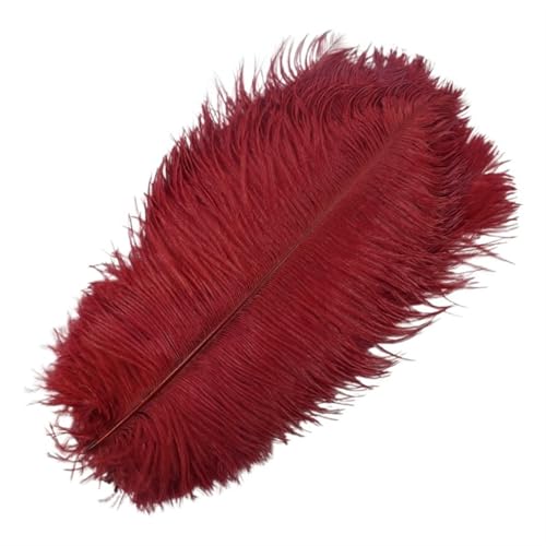 BDXMKS Straußenfeder 10 Stück farbige Straußenfedern for Basteln, Federdekoration, DIY, Urlaub, Karneval, Hochzeitsdekoration(Red Wine,45-50cm 18-20inch) von BDXMKS