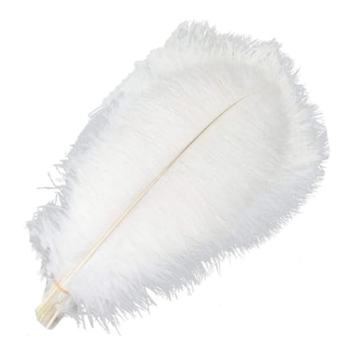 BDXMKS Straußenfeder 10 Stück farbige Straußenfedern for Basteln, Federdekoration, DIY, Urlaub, Karneval, Hochzeitsdekoration(White,45-50cm 18-20inch) von BDXMKS
