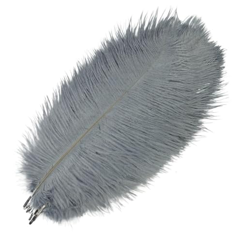 BDXMKS Straußenfeder 10 Stück farbige Straußenfedern for Basteln, Federdekoration, Tischdekoration, Schmuck, Kunsthandwerk, Dekoration(Gray,25-30cm 10-12inch) von BDXMKS