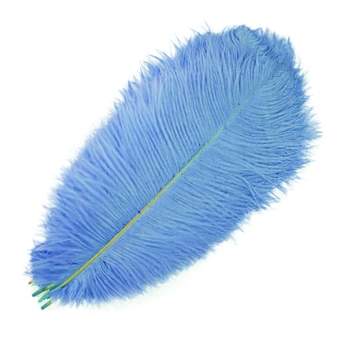 BDXMKS Straußenfeder 10 Stück farbige Straußenfedern for Basteln, Federdekoration, Tischdekoration, Schmuck, Kunsthandwerk, Dekoration(Light Blue,45-50cm 18-20inch) von BDXMKS