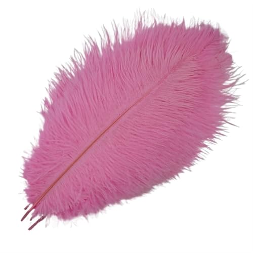BDXMKS Straußenfeder 10 Stück farbige Straußenfedern for Basteln, Federdekoration, Tischdekoration, Schmuck, Kunsthandwerk, Dekoration(Pink,45-50cm 18-20inch) von BDXMKS