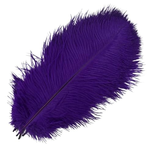 BDXMKS Straußenfeder 10 Stück farbige Straußenfedern for Basteln, Federdekoration, Tischdekoration, Schmuck, Kunsthandwerk, Dekoration(Purple,15-20cm 6-8inch) von BDXMKS