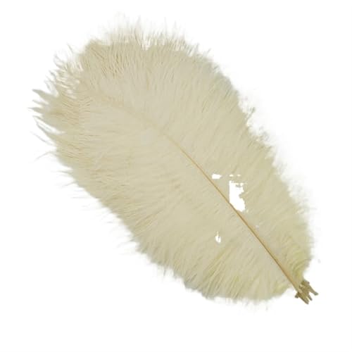 BDXMKS Straußenfeder 10 Stück farbige Straußenfedern for Basteln, Hochzeitsdekoration, Bastelzubehör, Tischdekoration, Karnevalsdeko(Beige,30-35cm 12-14inch) von BDXMKS