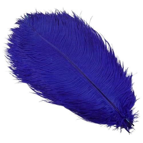 BDXMKS Straußenfeder 10 Stück farbige Straußenfedern for Basteln, Hochzeitsdekoration, Bastelzubehör, Tischdekoration, Karnevalsdeko(Blue,25-30cm 10-12inch) von BDXMKS