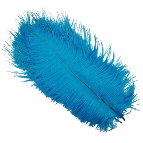 BDXMKS Straußenfeder 10 Stück farbige Straußenfedern for Basteln, Hochzeitsdekoration, Bastelzubehör, Tischdekoration, Karnevalsdeko(Blue1,45-50cm 18-20inch) von BDXMKS