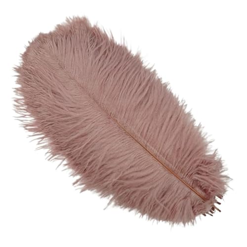 BDXMKS Straußenfeder 10 Stück farbige Straußenfedern for Basteln, Hochzeitsdekoration, Bastelzubehör, Tischdekoration, Karnevalsdeko(Leather pink,50-55cm 20-22inch) von BDXMKS