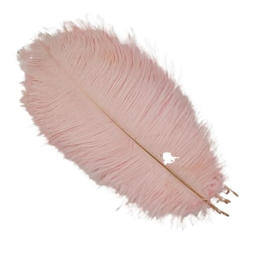 BDXMKS Straußenfeder 10 Stück farbige Straußenfedern for Basteln, Hochzeitsdekoration, Bastelzubehör, Tischdekoration, Karnevalsdeko(Light pink,30-35cm 12-14inch) von BDXMKS