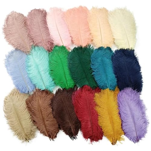 BDXMKS Straußenfeder 10 Stück farbige Straußenfedern for Basteln, Hochzeitsdekoration, Bastelzubehör, Tischdekoration, Karnevalsdeko(Random Color Mixing,30-35cm 12-14inch) von BDXMKS