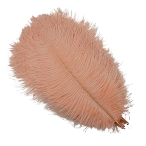 BDXMKS Straußenfeder 10 Stück farbige Straußenfedern for Basteln, Hochzeitsdekoration, Bastelzubehör, Tischdekoration, Karnevalsdeko(Shell pink,50-55cm 20-22inch) von BDXMKS